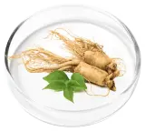 Ginseng Root Powder