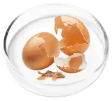 Pure Eggshell Collagen